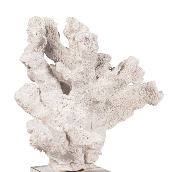 Coral Accessory